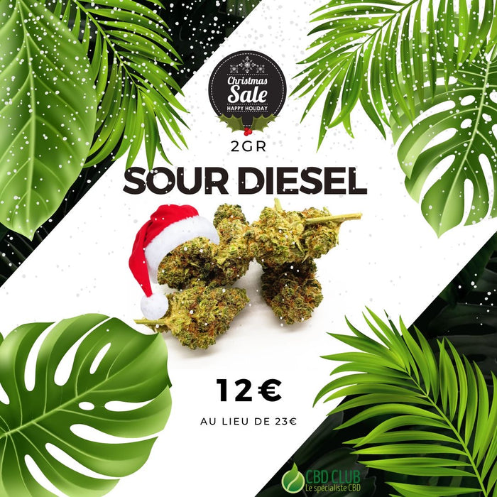 Fleur de CBD Sour Diesel Indoor - Dominante sativa - 2gr - CBD'eau