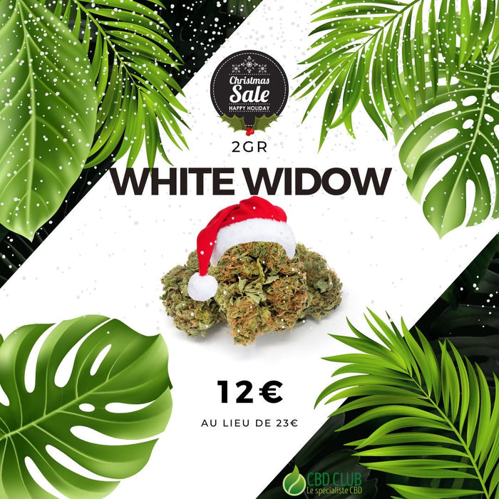 Fleur de CBD WHITE WIDOW Indoor - 2gr - CBD'eau