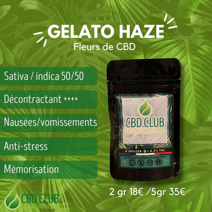 Fleurs de CBD Gelato Haze