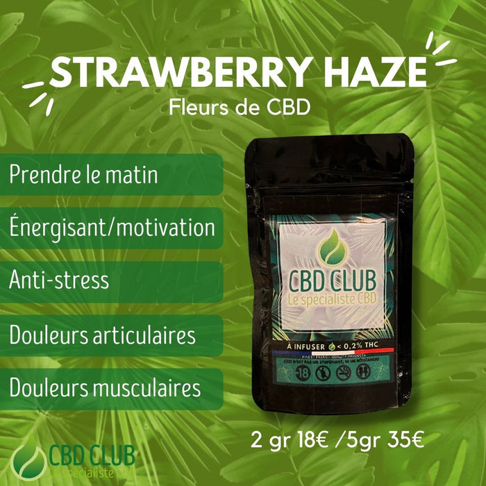 Fleurs de CBD Strawberry Haze - CBD Club