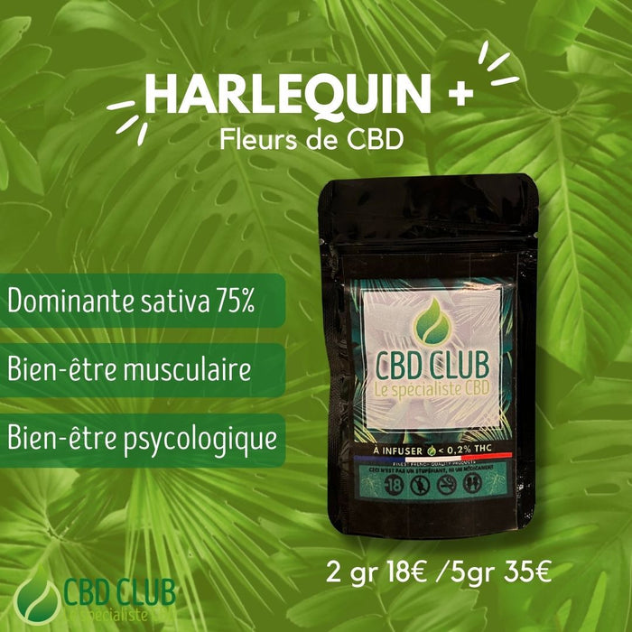 Fleur de CBD Harlequin - CBD CLUB