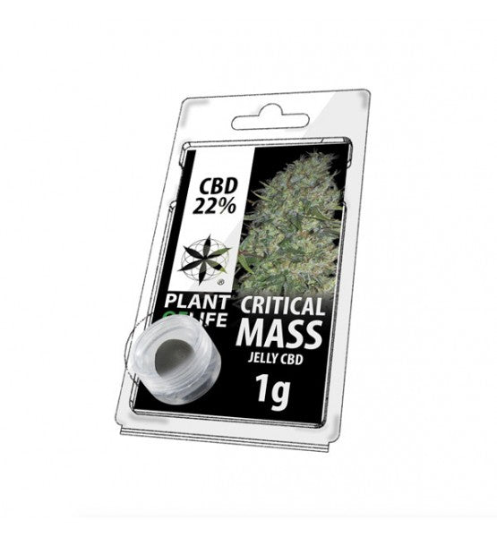 Résine de CBD - Jelly CRITICAL MASS 22% 1G